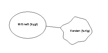 Lokalnett og verden